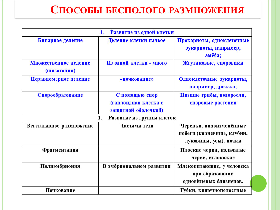 Каковы особенности бесполого размножения кратко