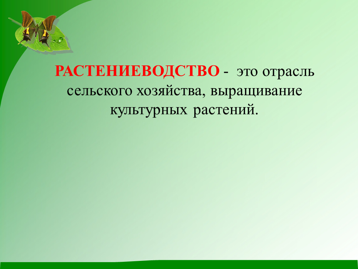 Окружающий мир определение 3 класс. Растениеводство 3 класс. Растениеводство презента. Растениеводство презентация. Растениеводство это определение.