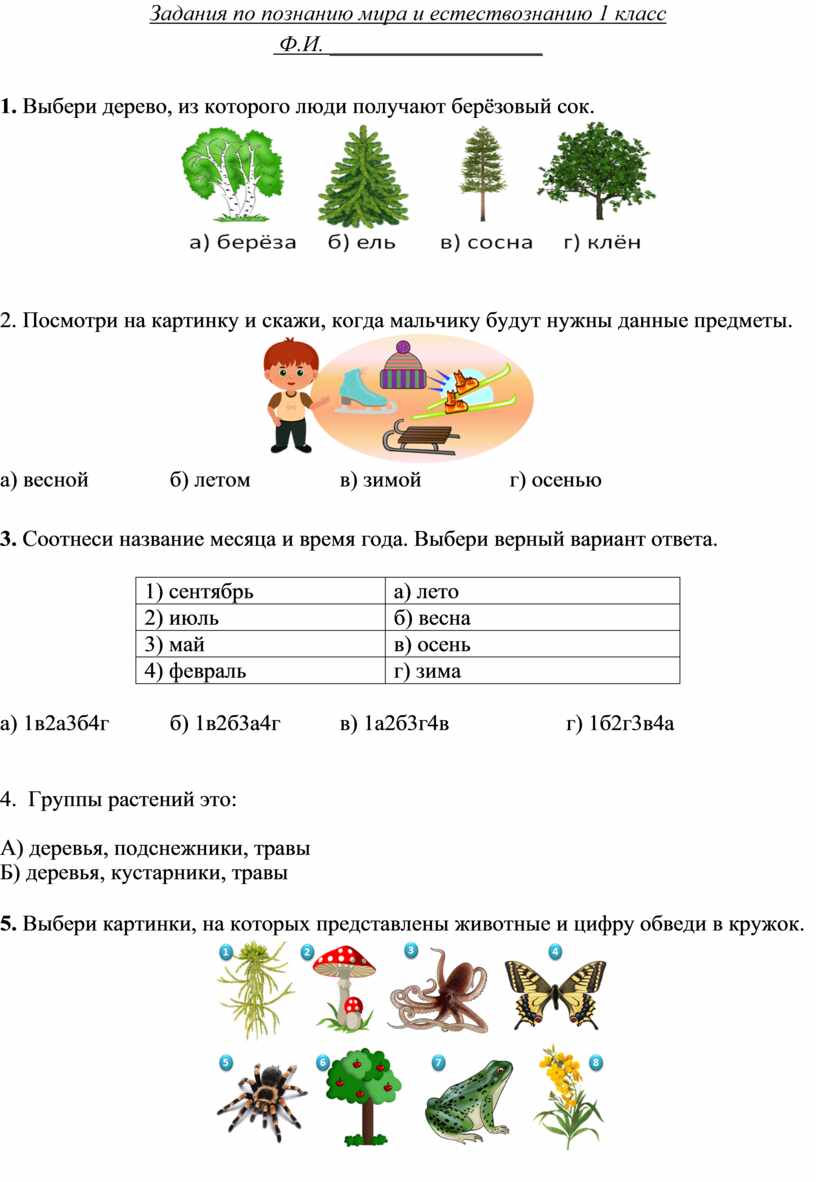 Задания по окр миру 1 класс для самостоятельной работы в картинках