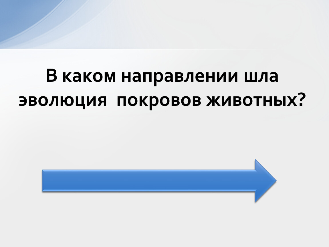 В каком направлении шла эволюция. Эволюция животных шла в направлении. Направление эволюции покровов тела животных. В каком направлении шла Эволюция покровов тела у животных.