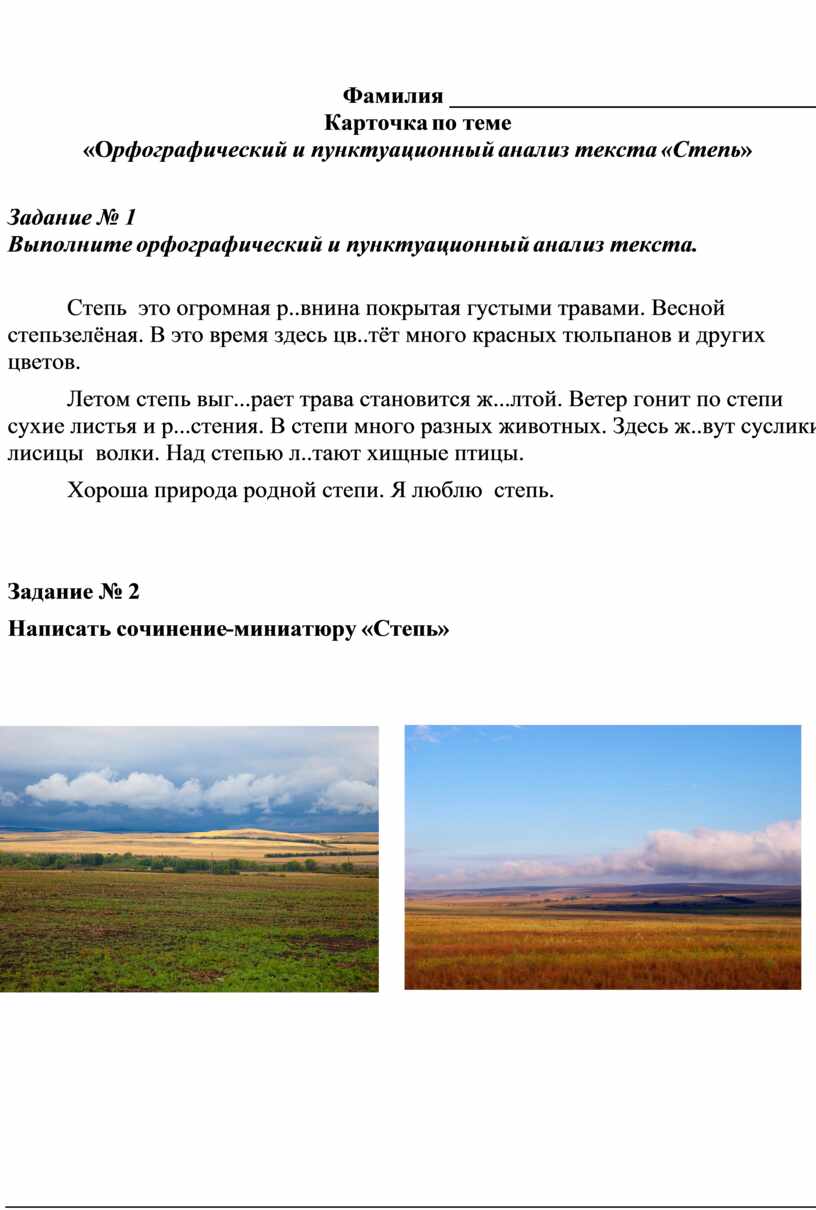 Индивидуальная карточка для проверочной работы в 6 классе по теме  «Орфографический и пунктуационный анализ текста «Степь