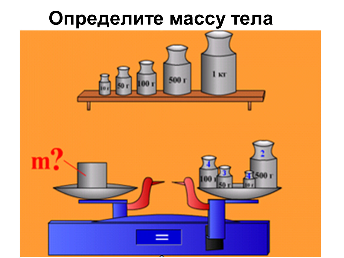 Определение массы. Как измерить массу. Определи вес тела. Определяем определяем массу тела. Массу измеряют в.