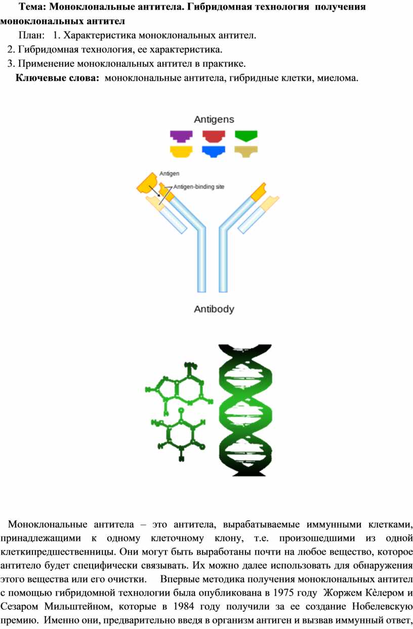 Схема получения моноклональных антител