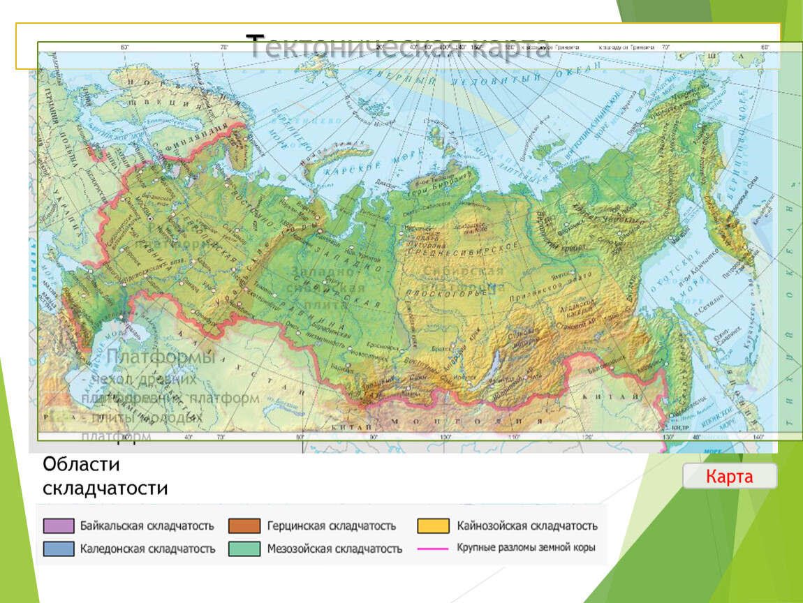 Молодые платформы. Область кайнозойской складчатости в Южной Америке. Самая Старая складчатость России.