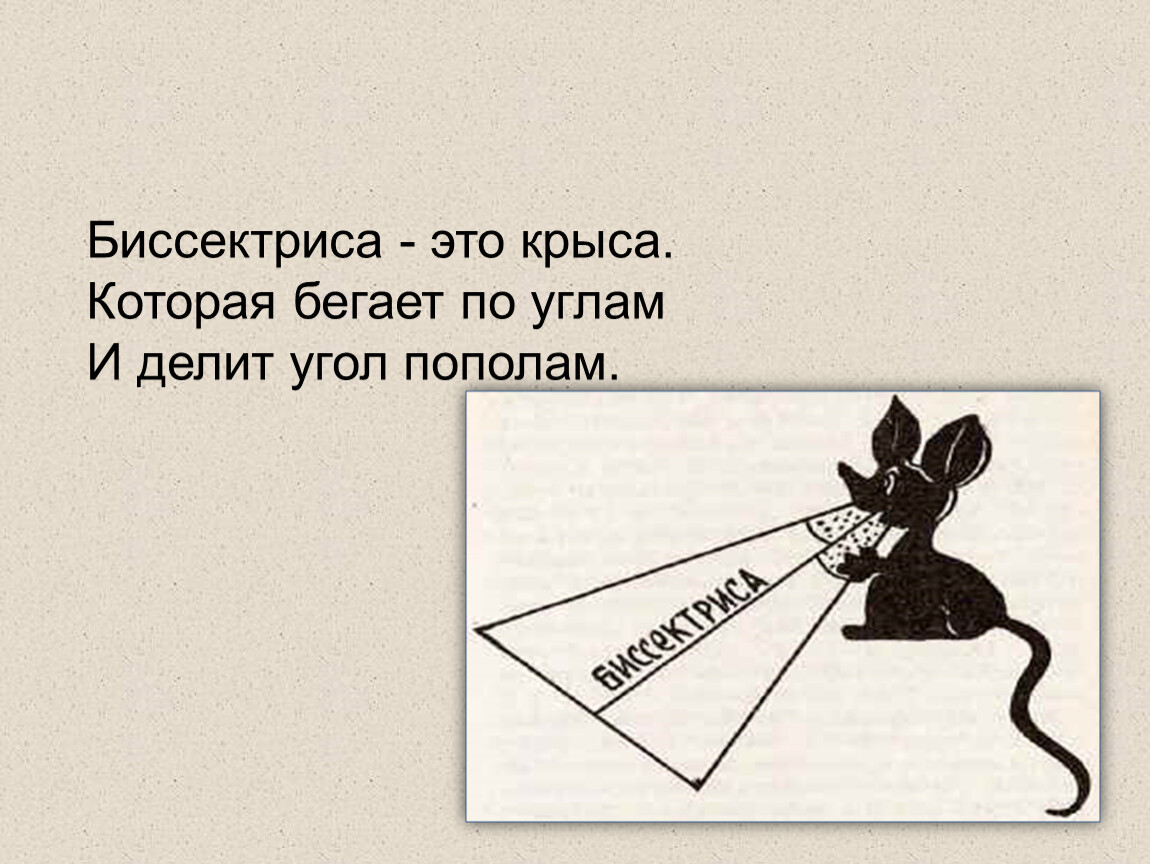 Биссектриса корень. Крыса бегает по углам и делит угол пополам. Биссектриса это крыса. Стишок про биссектрису. Биссектриса это крыса которая бегает по углам.