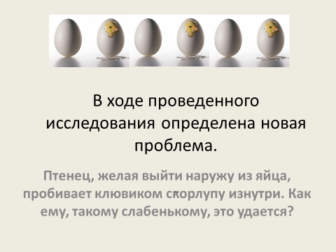 Исследовательская работа в 3 классе «А прочно ли куриное яйцо»