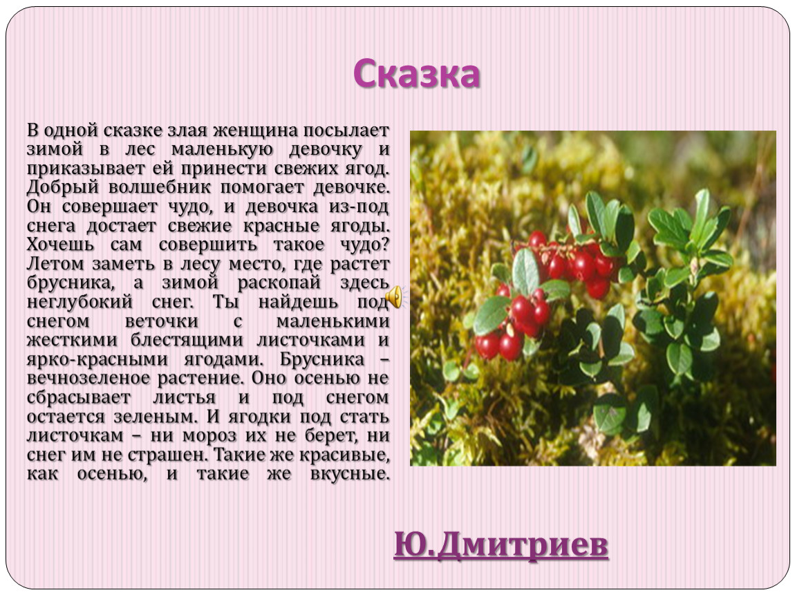 Сказку ягоды. Интересные факты о бруснике. Сказка про ягоды. Брусника презентация для детей. Сказка про ягоды для детей.