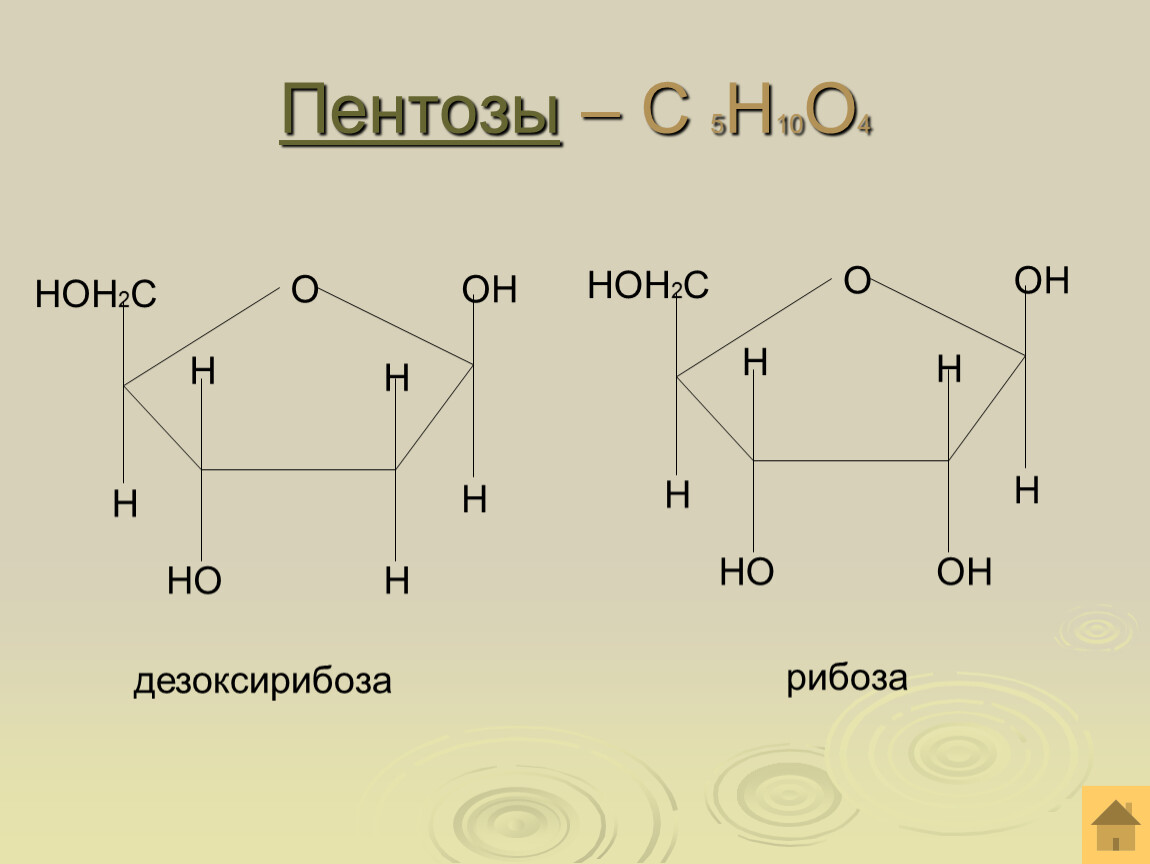 Рибоза рисунок. Пентоза структурная формула. Пентоза рибоза формула. Пентоза химическая структура. Пентоза дезоксирибоза.