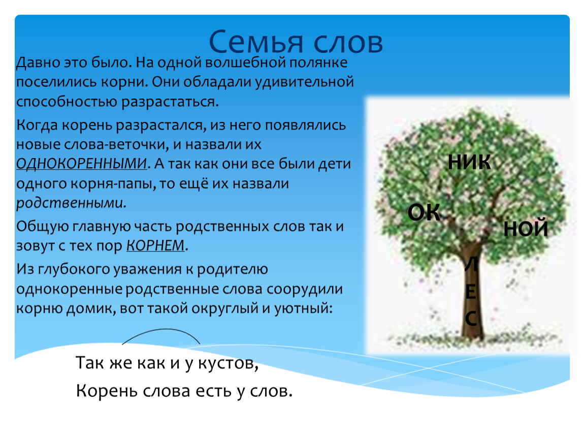 Было давно слова. На одной волшебной Поляне поселились, корни. Семья слов от одного корня. Проект семья слов по русскому языку 3 класс. Семья слов сосна.