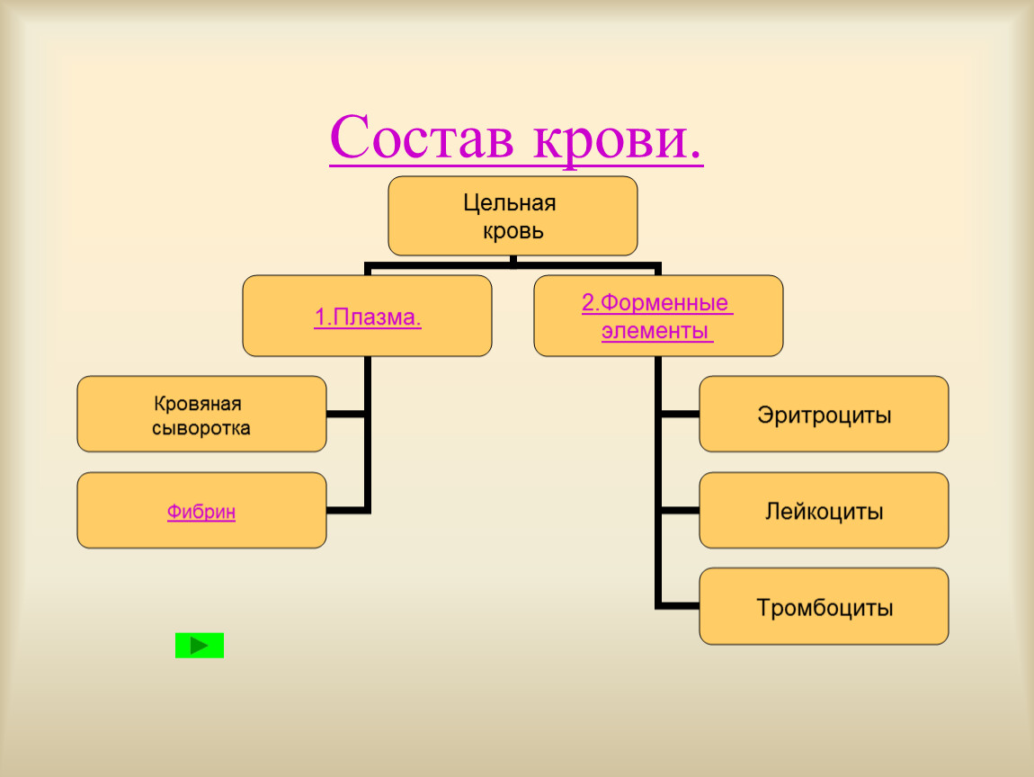 Графологическая схема состав крови