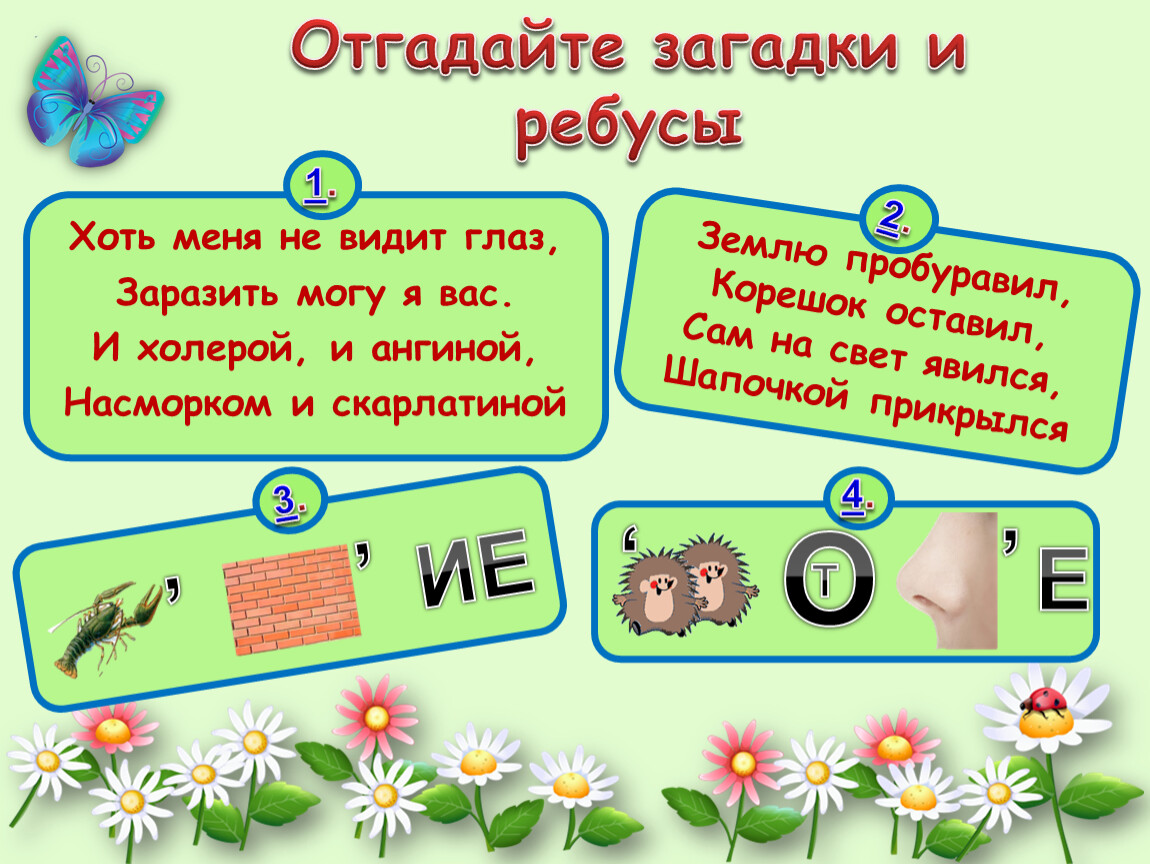 Загадка дня 11.08. Загадки по биологии. Головоломки по биологии. Ребусы загадки. Головоломки по биологии с ответами.