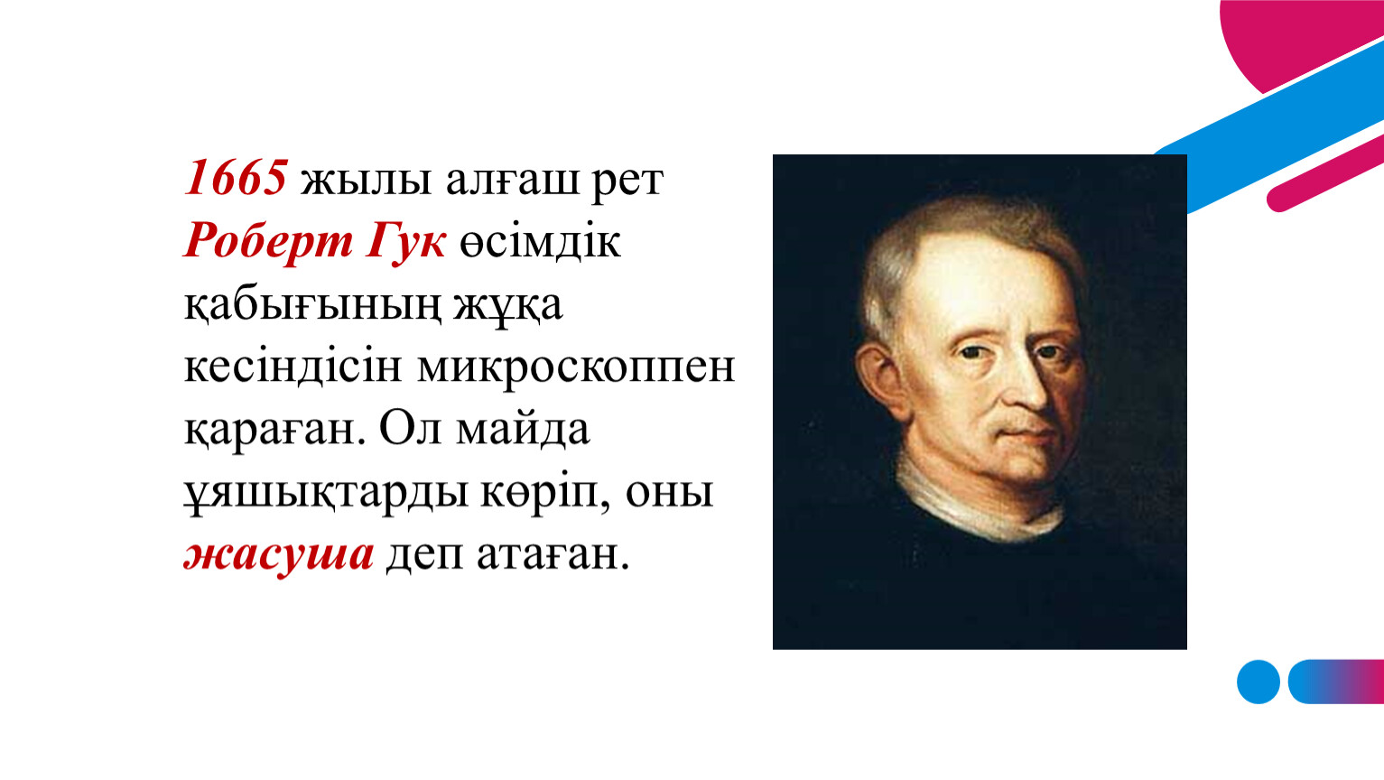 Гук биология. Гук в п. Гук открыл клетку. Гук в п. Гук в п.