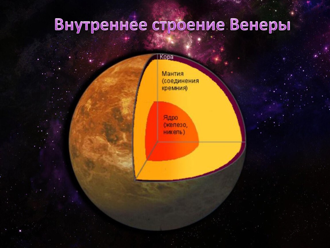 Строение венеры картинка