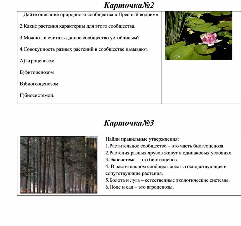 План описания природного района урал название природного района