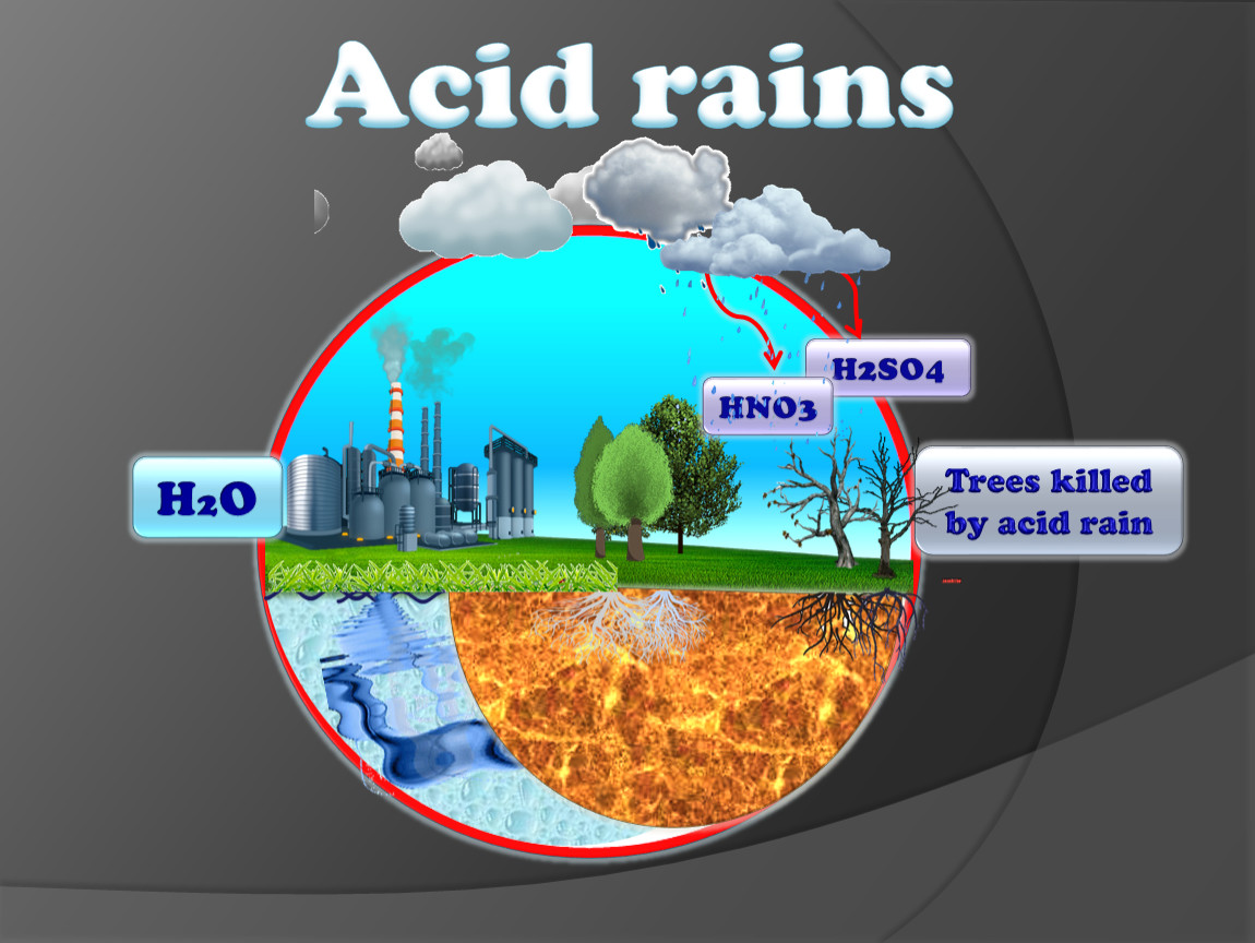 Текст по английскому 7 класс acid rain. Презентация по английскому языку acid Rain. Acid Rain группа. Презентации кислотный дождь на английском. Acid Rain Spotlight 7.