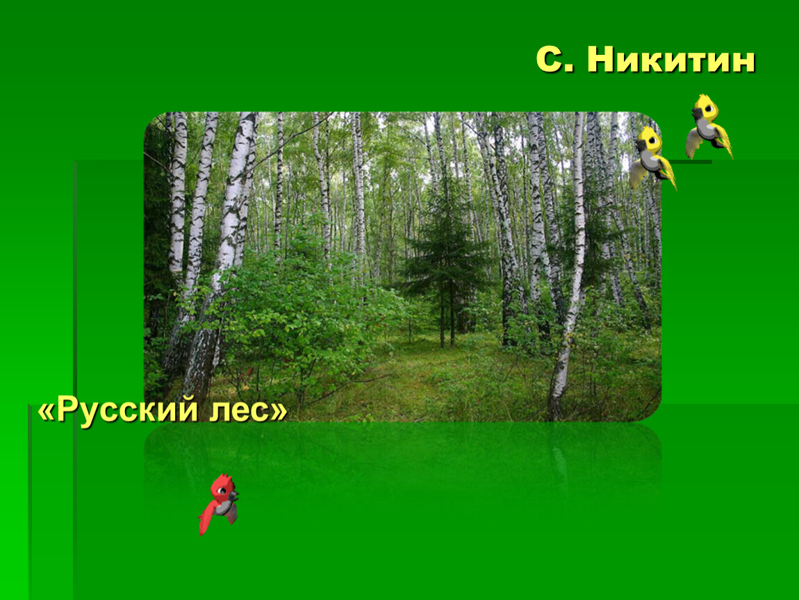 Стихотворение никитина лес. Лес Никитин стих.
