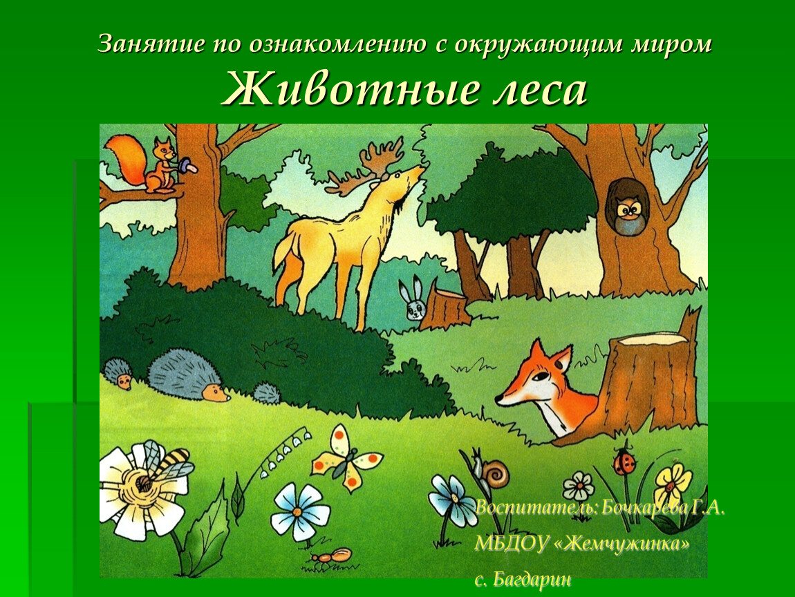 Про лес детям. Занятие животные леса для дошкольников. Презентация Лесные животные для дошкольников. Занятие лес для дошкольников по окружающему миру. Лес и его обитатели для дошкольников.