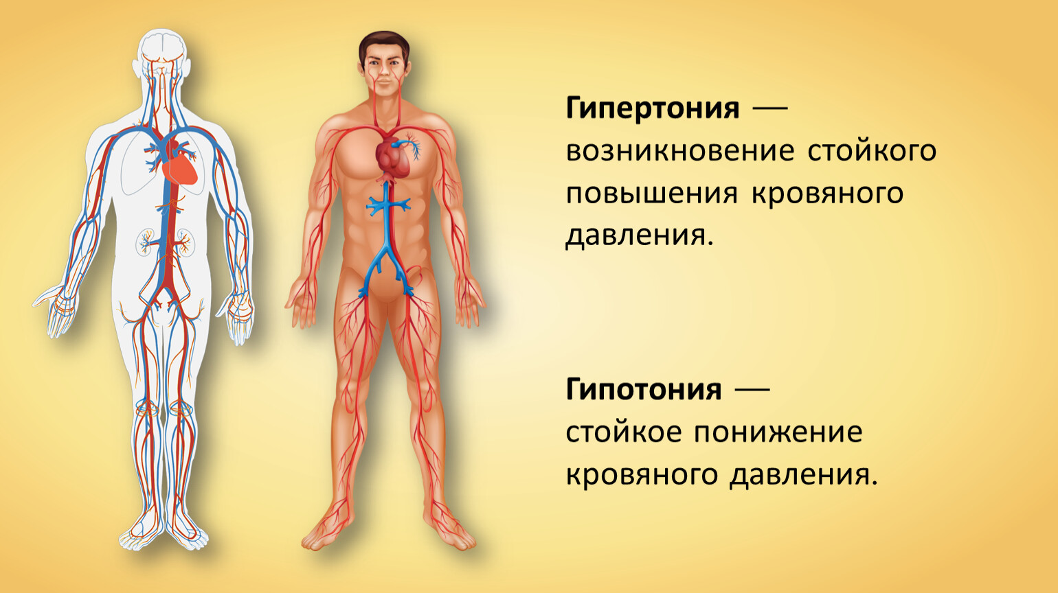 Гипотония — стойкое понижение кровяного давления