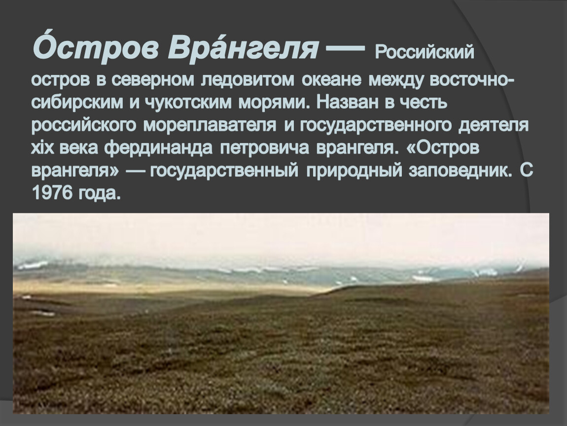 Остров врангеля природная зона. Остров Врангеля российский. Остров Врангеля российский остров в Северном Ледовитом. Остров Врангеля климат. Площадь острова Врангеля.