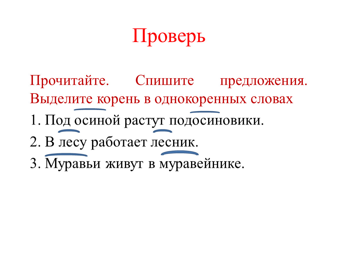 Проверю прочитайте. Прочитайте спишите предложения. Однокоренные слова к слову аккуратный. Читать проверить и. Прочитай.Спиши предложения парами.в выделенных.