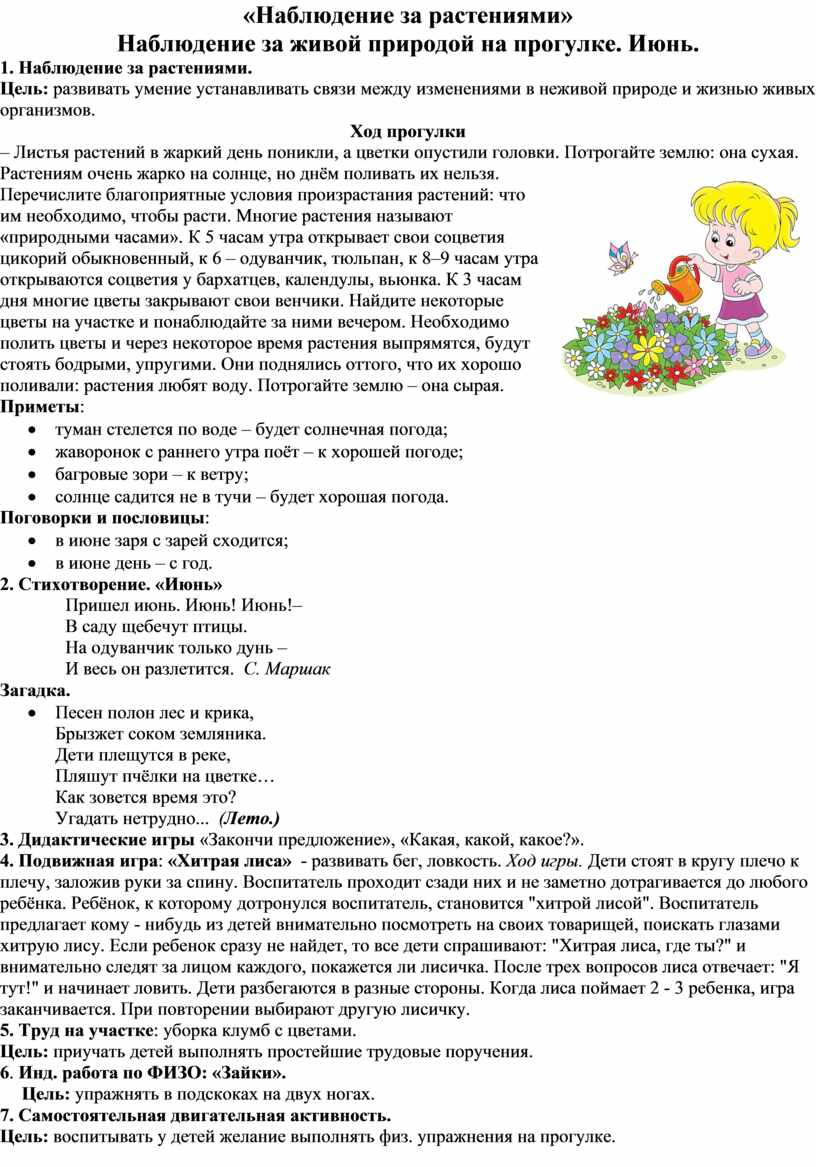 Конспект наблюдения за растением. Наблюдение за растениями. План наблюдения за растениями. Наблюдение за живой природой в средней группе. Наблюдение за растительным миром 2 младшая группа.