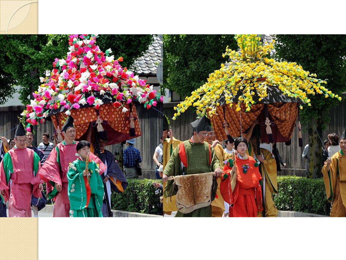 Цвет ханой. Фестиваль цветов хана Мацури в Японии 8 апреля. Аой Мацури. Аой Мацури фестиваль мальвы. Аой Мацури праздник.