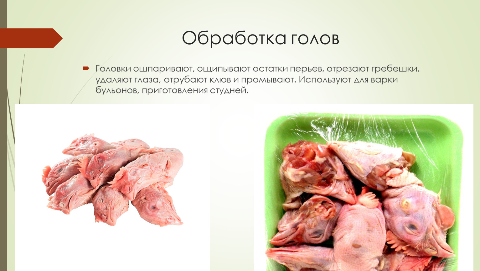 Субпродукты мяса птицы. Субпродукты используют для приготовления. Обработка субпродуктов птицы. Обработка субпродуктов птицы и дичи.