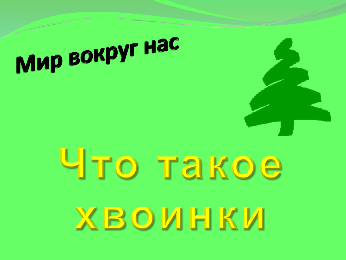 Презентация что такое хвоинки 1. Что такое хвоинки 2 класс. Отметь правильный ответ что такое хвоинки?. Что такое хвоинки 2 класс окружающий. Что такое хвоинки презентация 1 класс школа России.