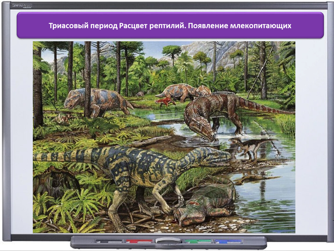 Пресмыкающиеся мезозойской эры. Мезозойская Эра Триас. Динозавры Триасового периода. Первые динозавры Триасового периода. Рептилии Триасового периода.