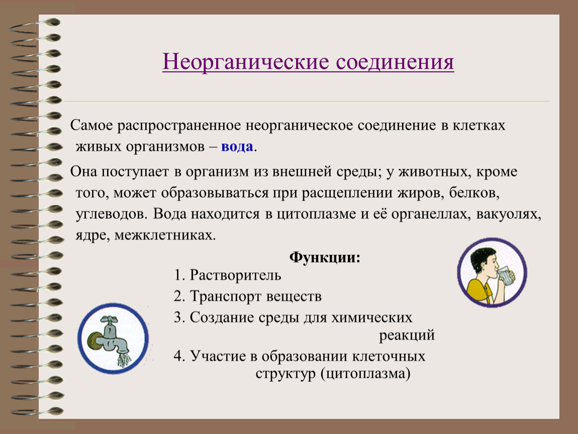самое распространенное неорганическое вещество в живом организме. органические и неорганические вещества по биологии. самое распространённое неорганическое вещество в клетке. самое распространенное неорганическое вещество в живом организме. самое распространенное неорганическое вещество клетки.