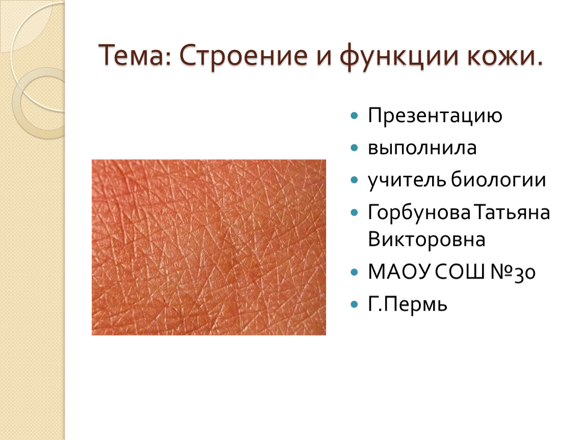 Кожа презентация. Терморегулирующая функция кожи. Функции кожи. Строение и функции кожи презентация.