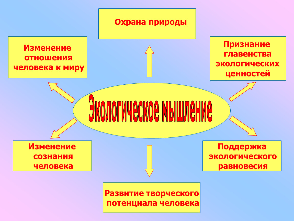 Изменение отношения. Экологическое мышление. Принципы современного экологического мышления.. Экологическое мышление примеры. Экологичность мышления.