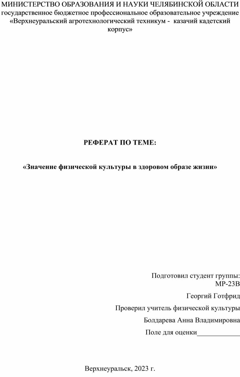 Реферат по информатике на тему 