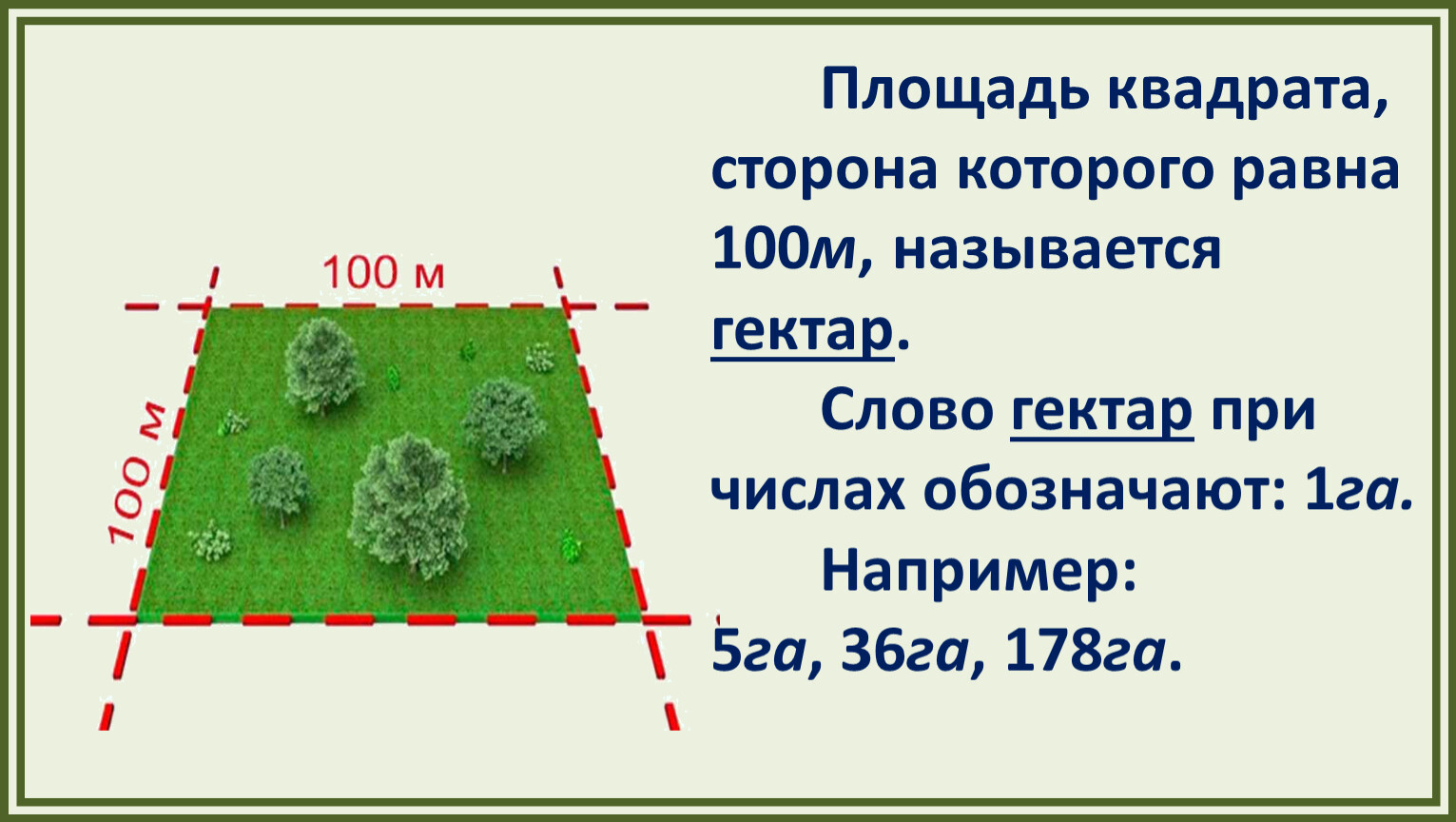 Площадь земельного участка имеющего