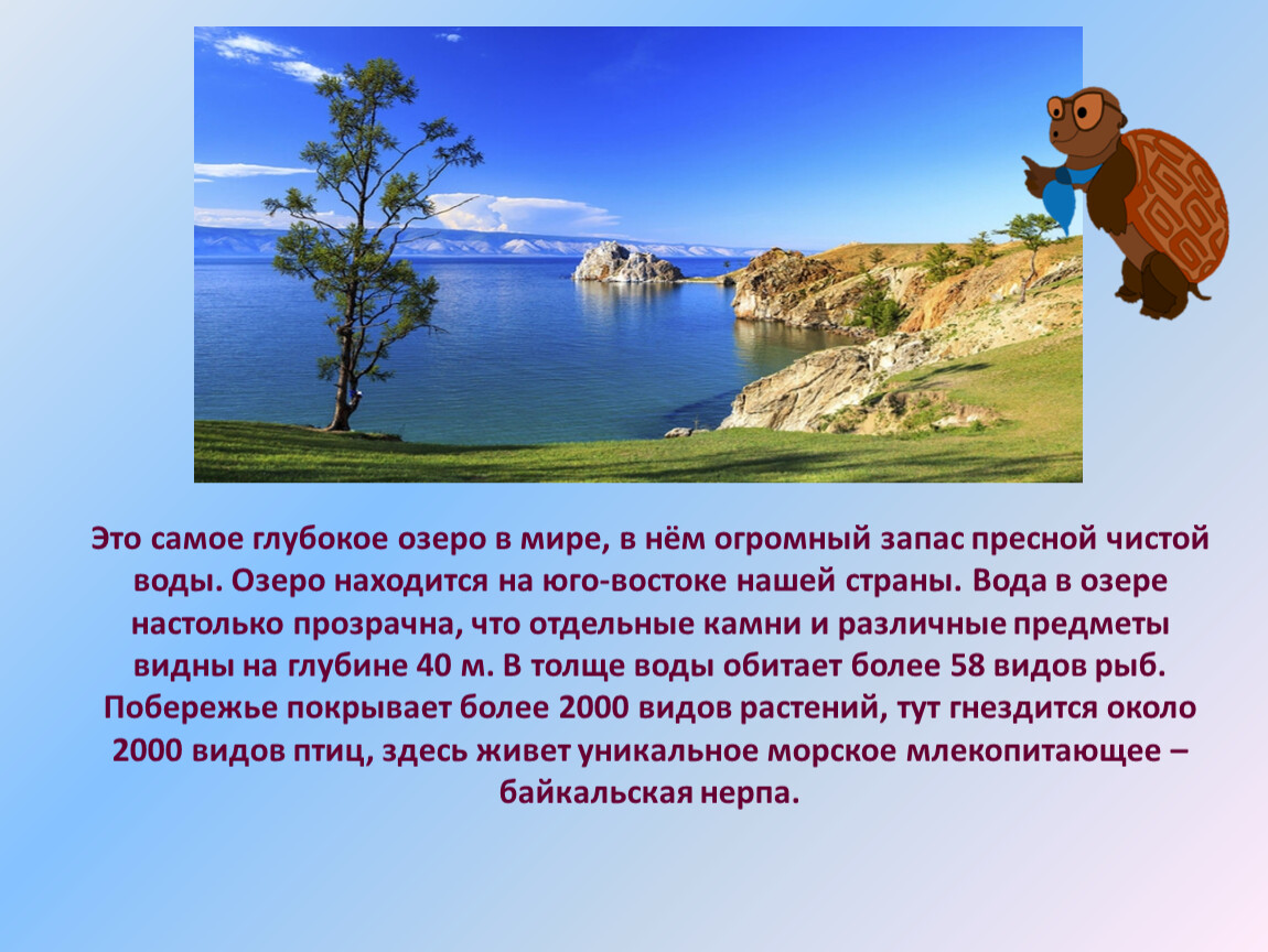 Презентация по окружающему миру, 2 класс