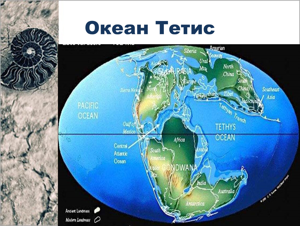 Океаны было и стало. Древний океан Тетис сейчас. Океан Тетис Лавразия. Древнее море Тетис. Океан Тесис.