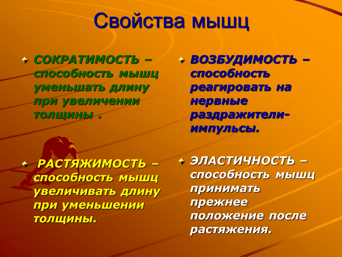 Способность мышц