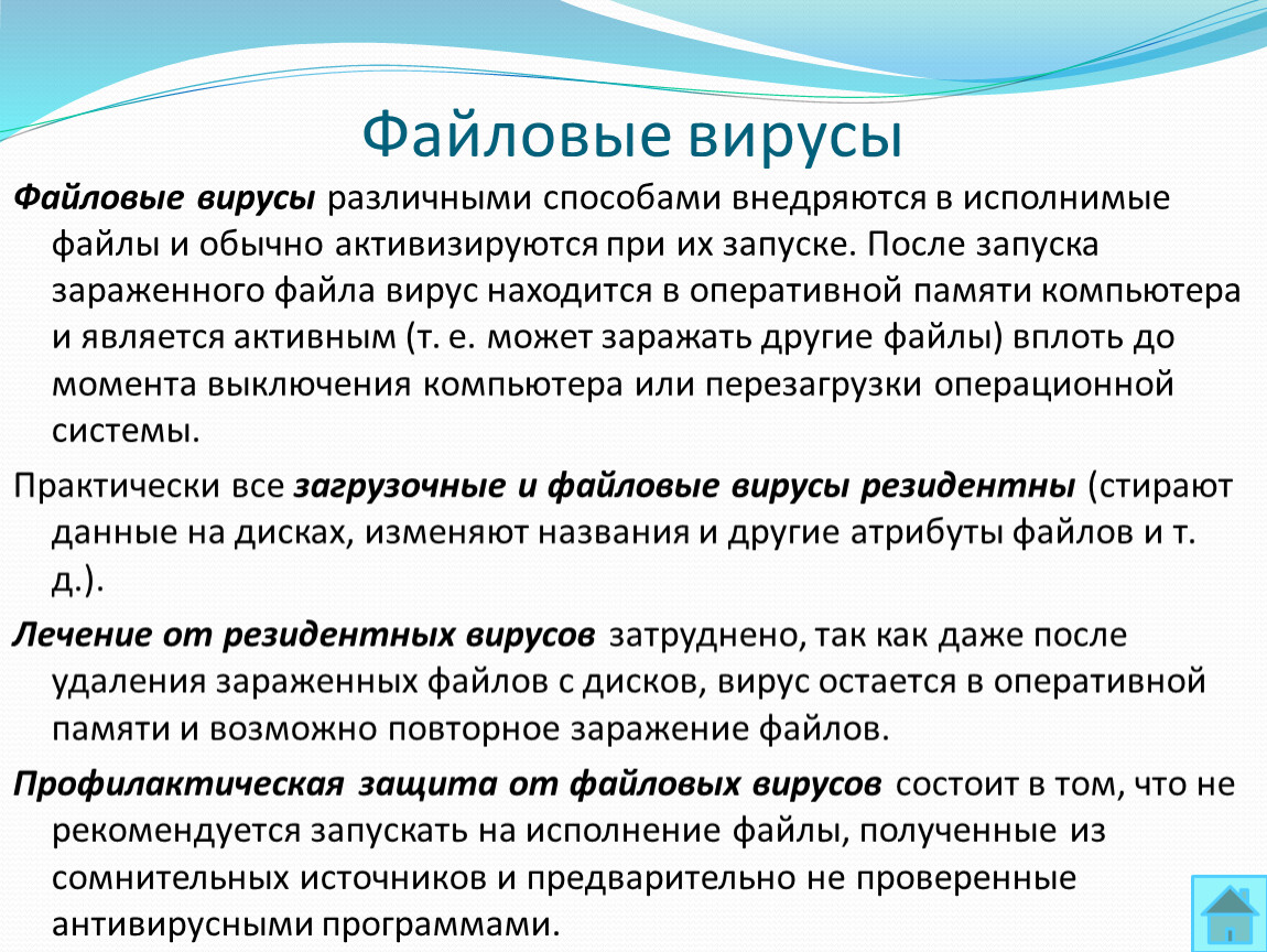 Действия файловых вирусов. Способы заражения файловых вирусов. Профилактика от файловых вирусов. Что заражают файловые вирусы. Способ заражения компьютера файловые вирусом.