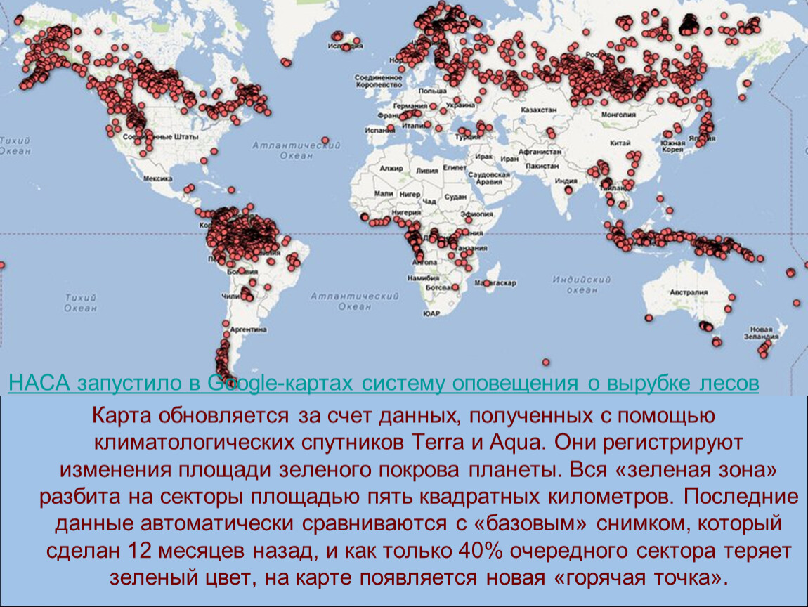 Карта вырубки леса