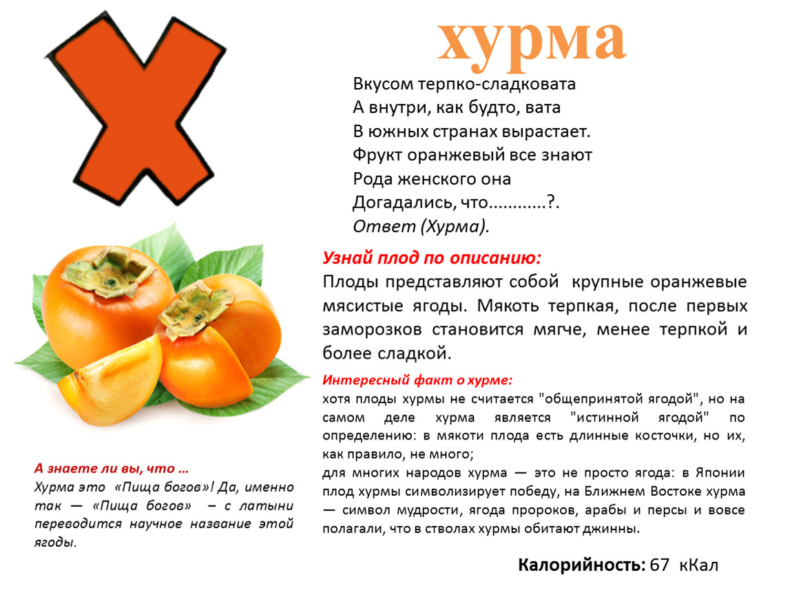 Каталог продуктов