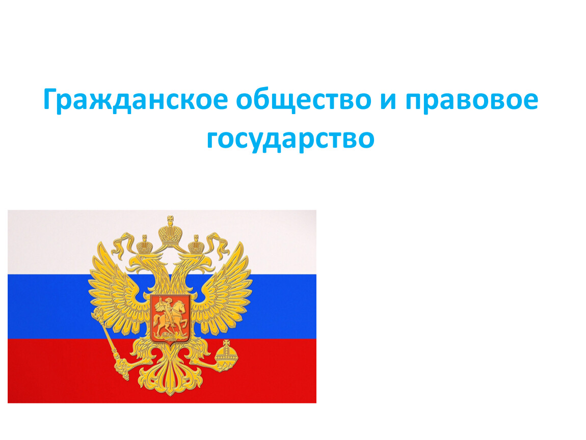 Презентация 11 класс общество гражданское общество и правовое государство