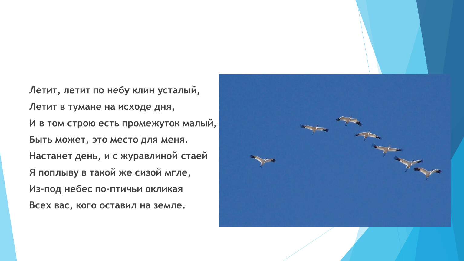 Минус песни улетели журавли. Летит летит по небу Клин усталый. Дети летит по небу Клин. Почему птицы летят клином. Летит летит по небу Клин усталый текст.