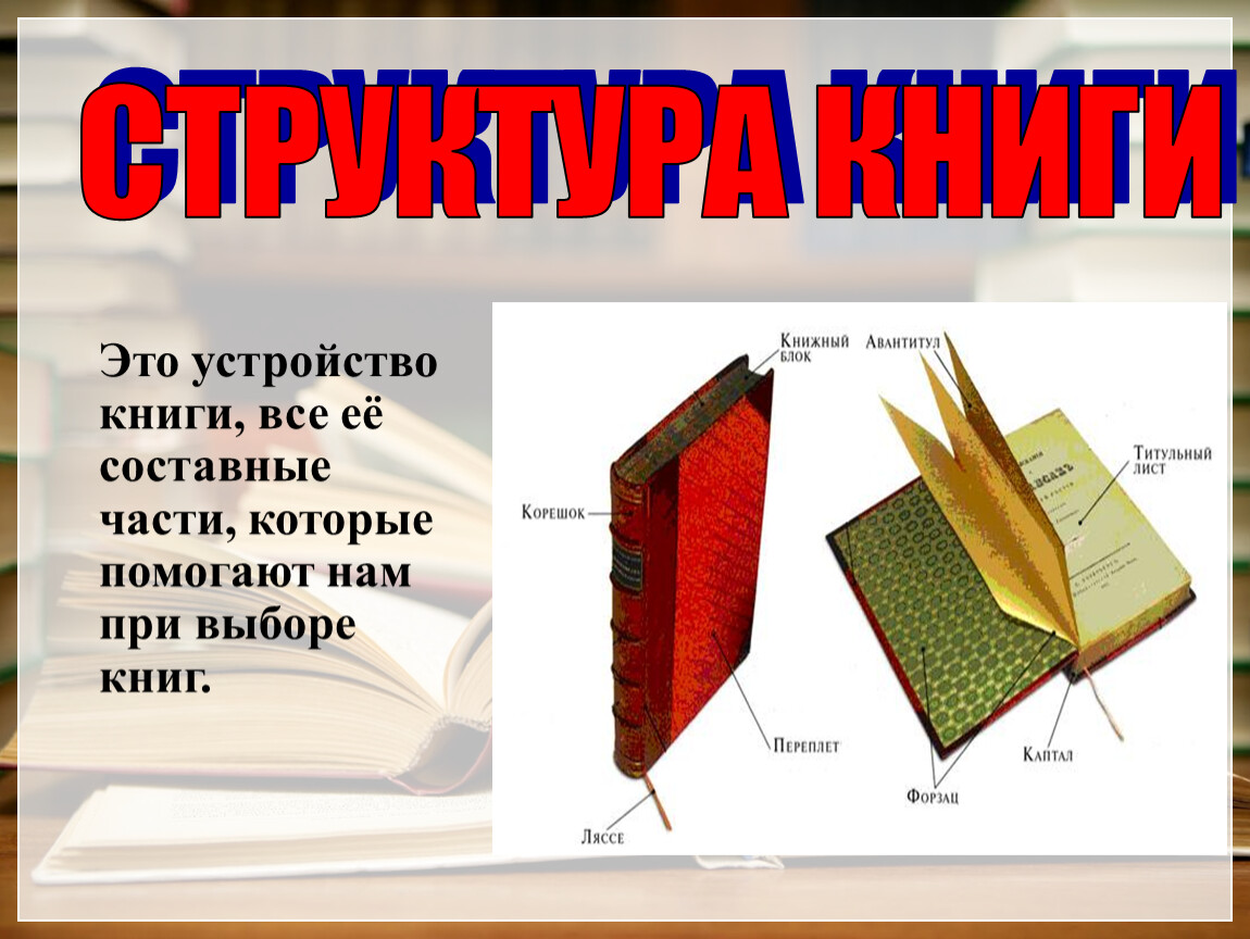 Части книги по порядку. Структура книги. Строение книги элементы. Части книги. Элементы книги в картинках.