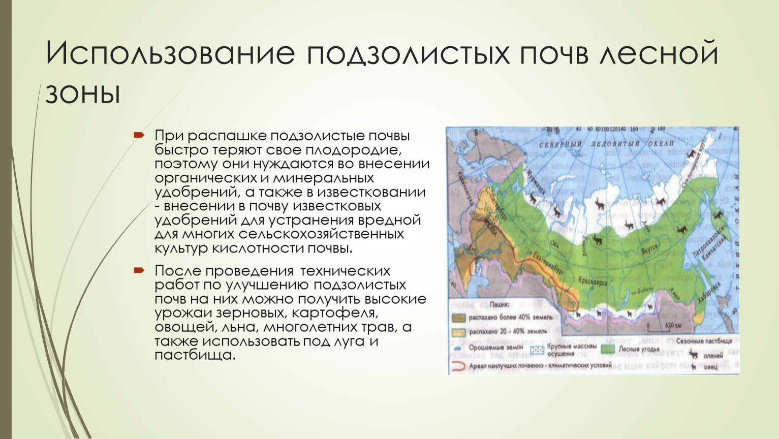 Какие природные зоны относятся к лесам. Использование подзолистых почв. Почвы Лесной зоны России. К почвам Лесной зоны относятся. Почвы Лесной зоны название.