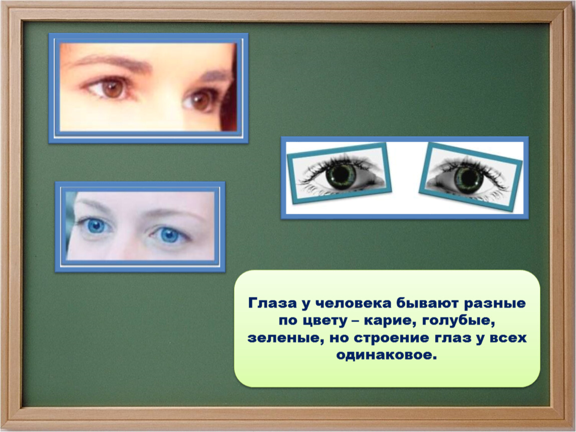 Цвет глаз человека определяется. Бывают разные глаза. Строение глаза цвет глаз. Карие и голубые глаза строение. Строение глаза голубой.