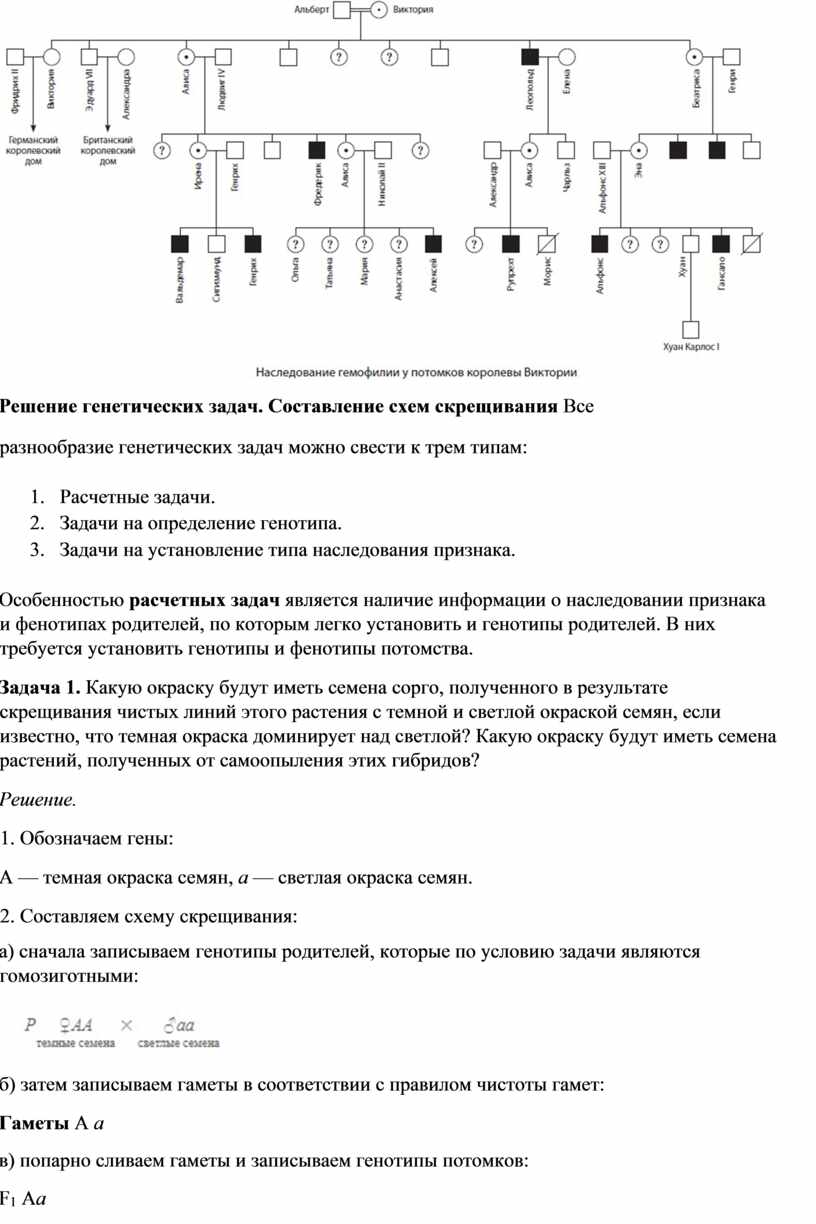 Практическая работа составление простейших схем скрещивания 10 класс