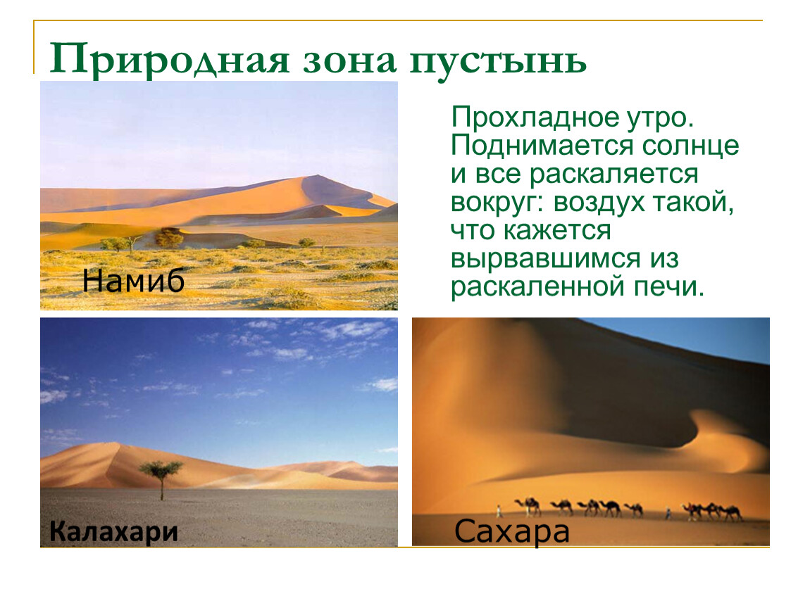 Климатические особенности природной зоны пустыни. Зона пустынь. Климат в пустыне. Зона пустыня климат. Климат природной зоны пустыни.