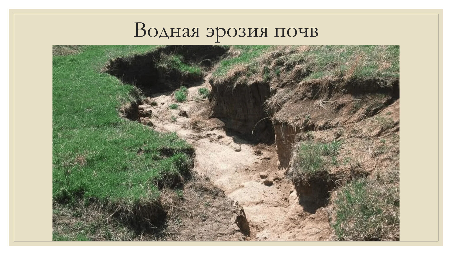 Физическая эрозия. Водная эрозия почв. Эрозия Ветровая и водная. Абразия и эрозия почв. Линейная эрозия почв.