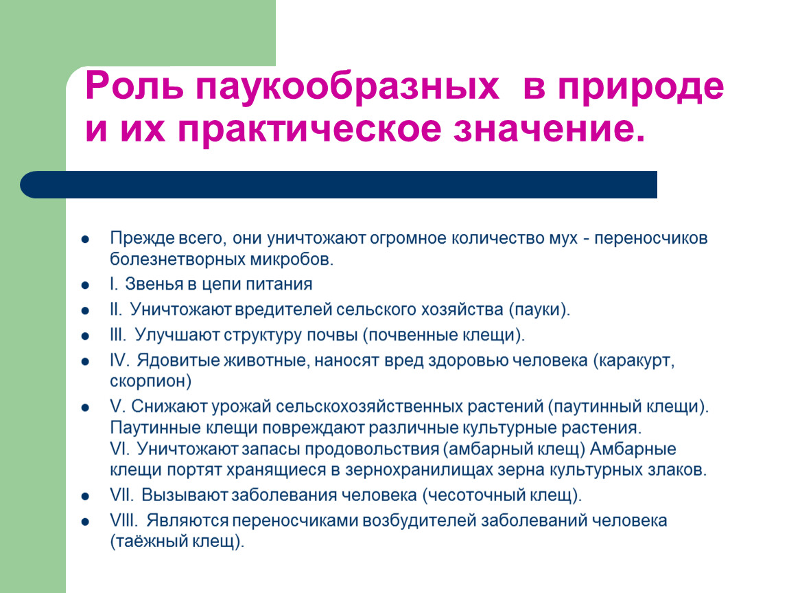 Роль доклада. Роль паукообразных в природе и в жизни человека. Пол паукообразных в природе. Роль паукообразных в жизни человека. Значение паукообразных в природе и жизни человека.