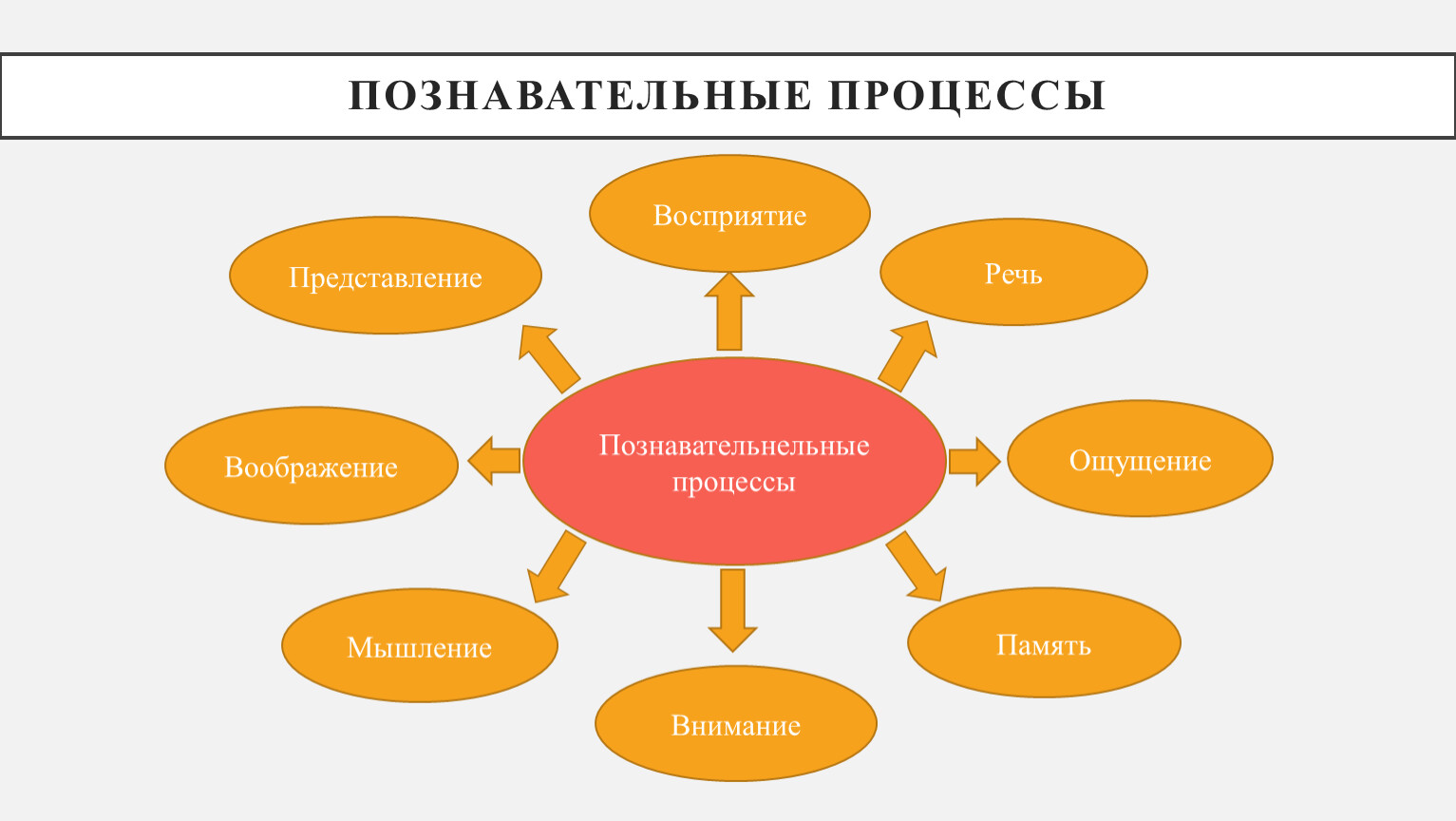 Классификация познавательных процессов